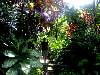 cairns06.JPG