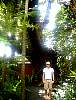 cairns07.JPG