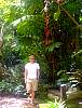 cairns08.JPG