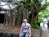 cairns49.JPG