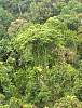 cairns61.JPG