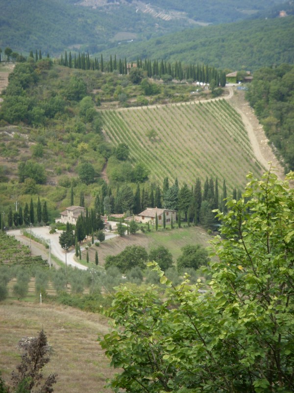 toscane2010412.jpg