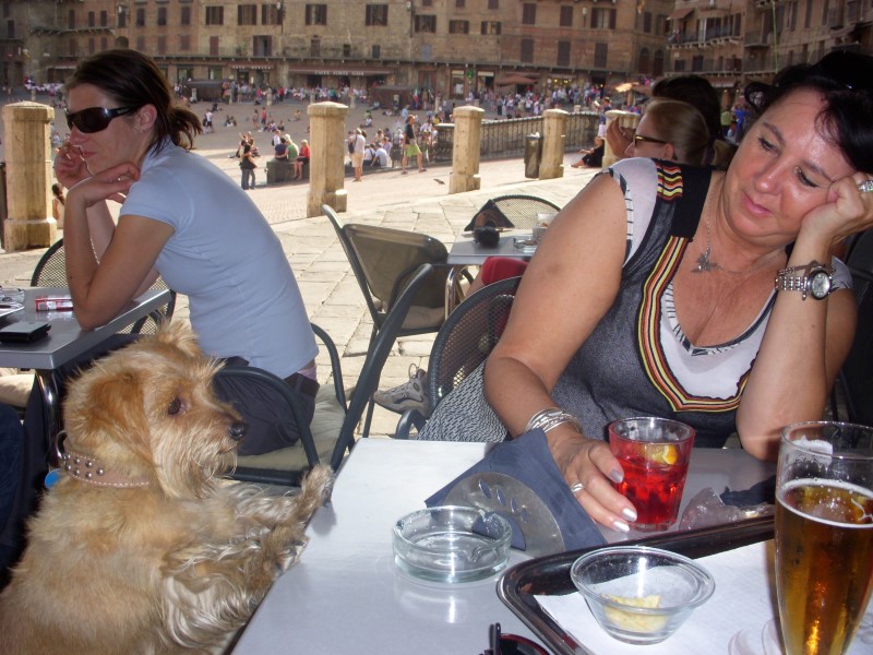 toscane2010641.jpg